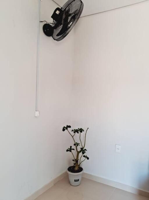 Ferienwohnung Flat Compacto E Mobiliado Proximo A Rodoviaria Aeroporto Palmas  Exterior foto